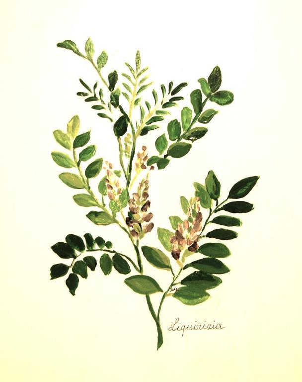 Il Guiscardo B&B 살레르노 객실 사진